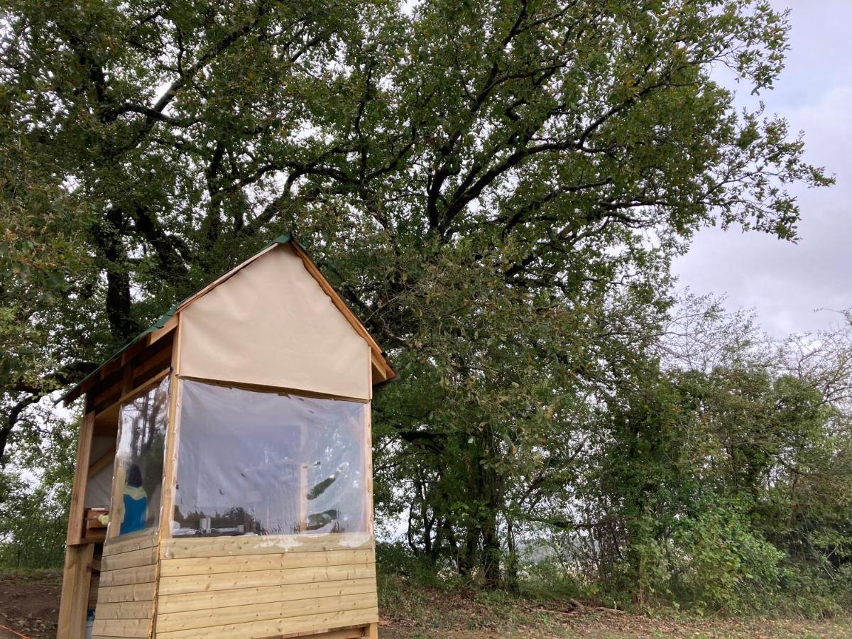 Cabane Bivouac Avec Echelle A L'Ombre Des Chenes Idrac-Respailles Luaran gambar